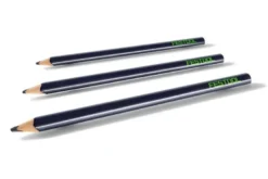 Festool Timmermanspenna BS-ZM 3-P